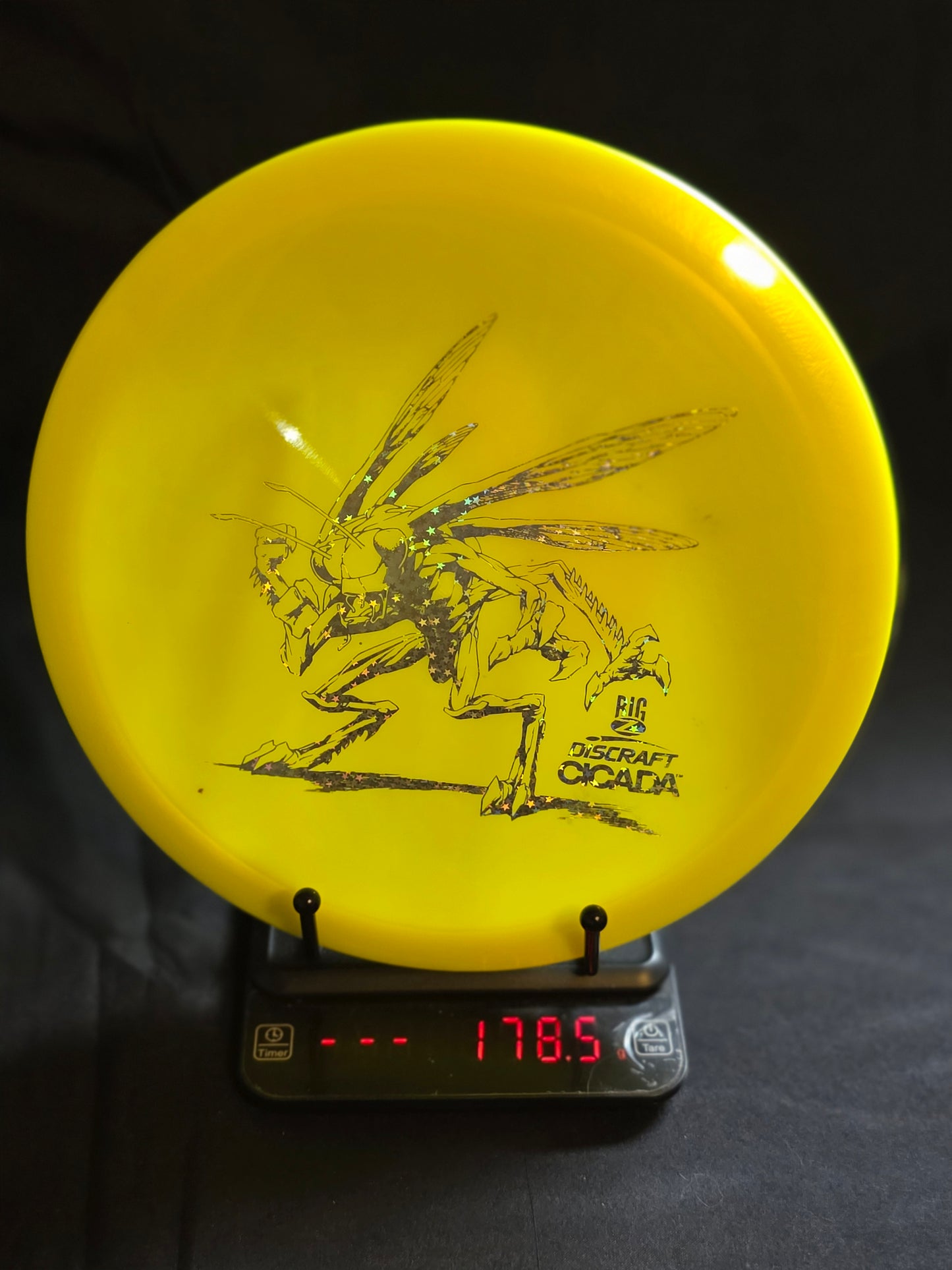 Discraft Big Z Cicada